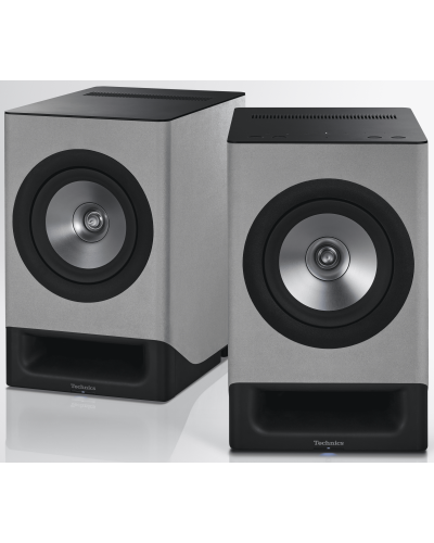 Беспроводная HiFi акустическая система Technics SC-CX700E-H