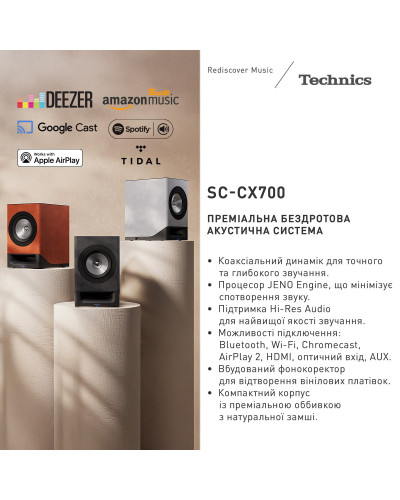 Беспроводная HiFi акустическая система Technics SC-CX700E-H