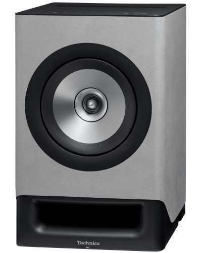 Беспроводная HiFi акустическая система Technics SC-CX700E-H