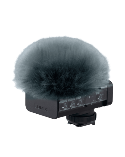 Микрофон Panasonic DMW-DMS1E