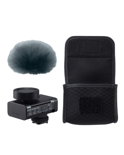 Микрофон Panasonic DMW-DMS1E