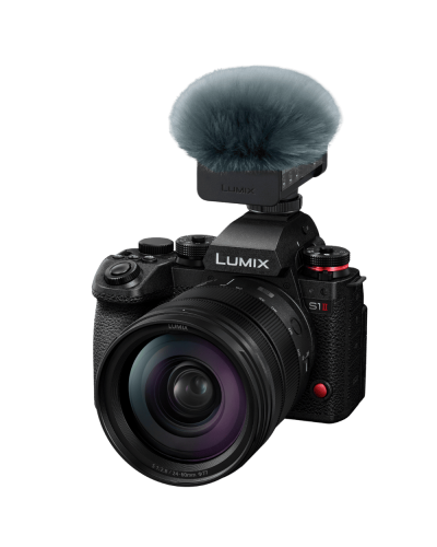 Микрофон Panasonic DMW-DMS1E
