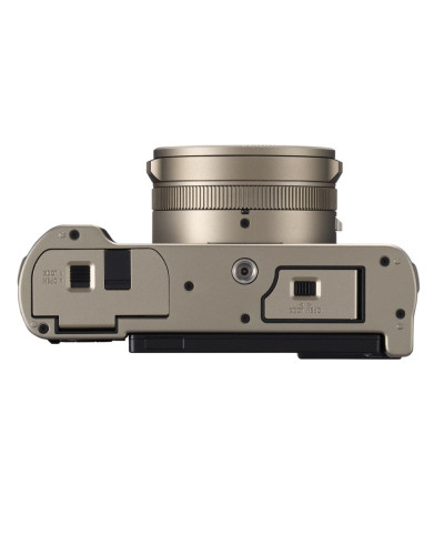 Цифровая фотокамера Panasonic Lumix DC-L10E-N Gold