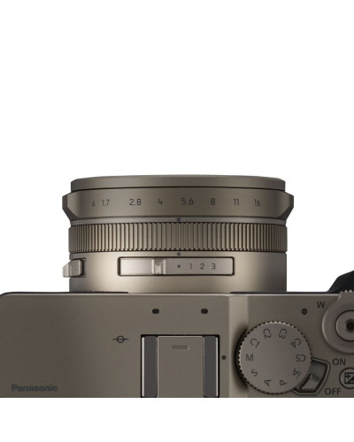 Цифровая фотокамера Panasonic Lumix DC-L10E-N Gold