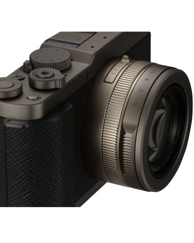 Цифровая фотокамера Panasonic Lumix DC-L10E-N Gold