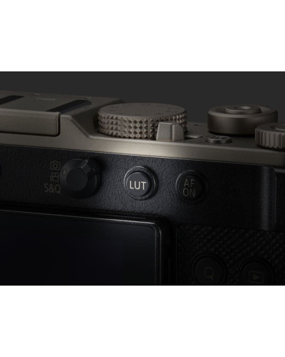 Цифровая фотокамера Panasonic Lumix DC-L10E-N Gold