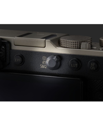 Цифровая фотокамера Panasonic Lumix DC-L10E-N Gold