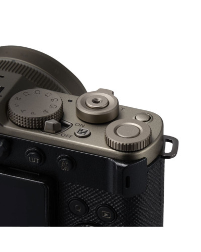 Цифровая фотокамера Panasonic Lumix DC-L10E-N Gold