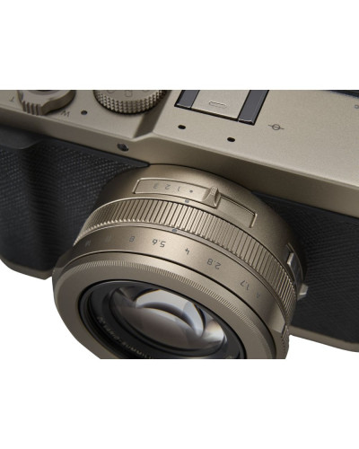 Цифровая фотокамера Panasonic Lumix DC-L10E-N Gold