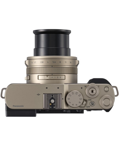 Цифровая фотокамера Panasonic Lumix DC-L10E-N Gold