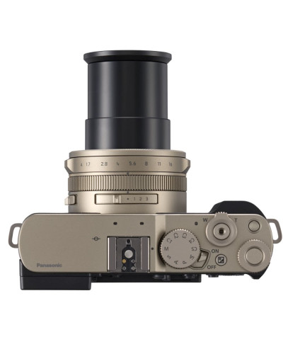 Цифровая фотокамера Panasonic Lumix DC-L10E-N Gold