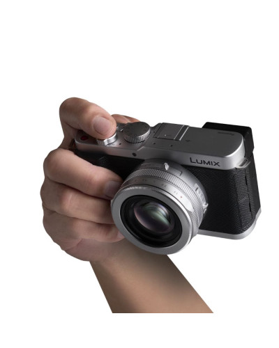 Цифровая фотокамера Panasonic Lumix DC-L10E-S Silver