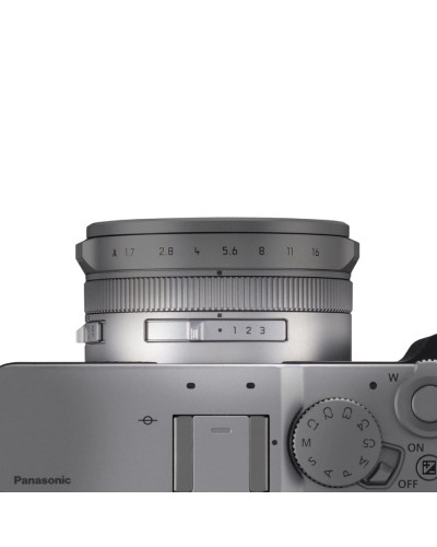 Цифровая фотокамера Panasonic Lumix DC-L10E-S Silver