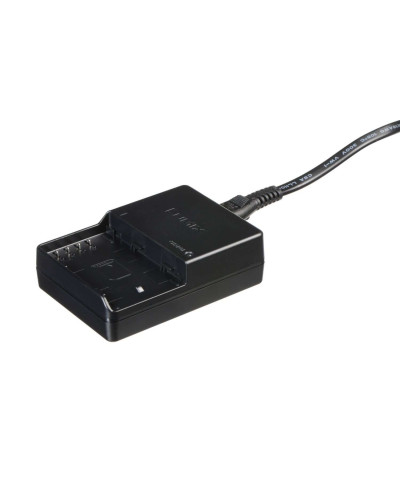 Зарядное устройство Panasonic DMW-BTC10E